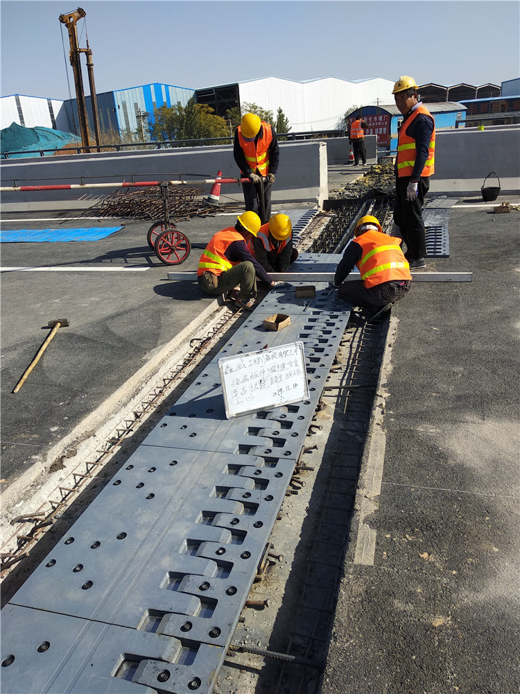 1623113568703458.jpg IMG_20191114_112420.jpg