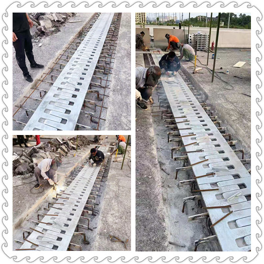 1624410838900006.jpg 4407fc2727087e3528ba593e9de4b2c_副本.jpg